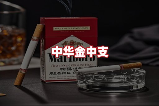 中华金中支